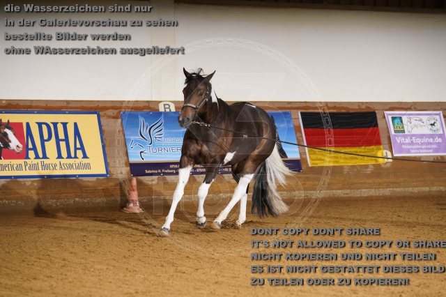 s_K3F01766.JPG